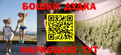 стафф Лесосибирск